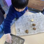 農業体験しました！